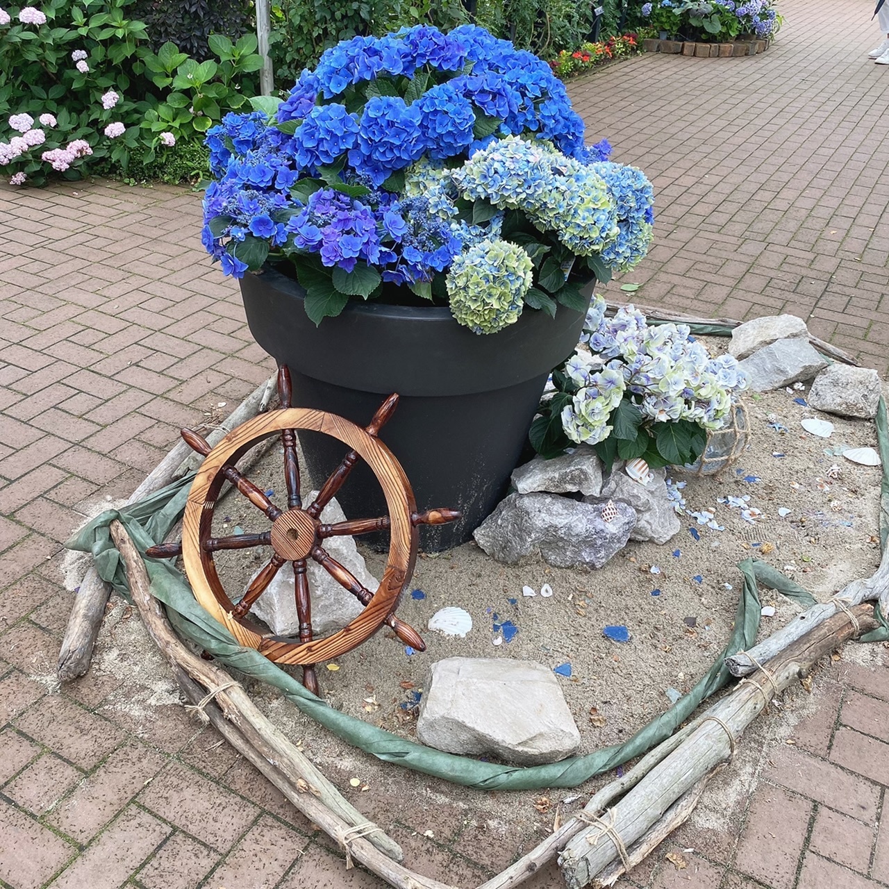 横浜イングリッシュガーデンの紫陽花 チームjマダム 結子のブログ チームjマダムブログ Web Eclat