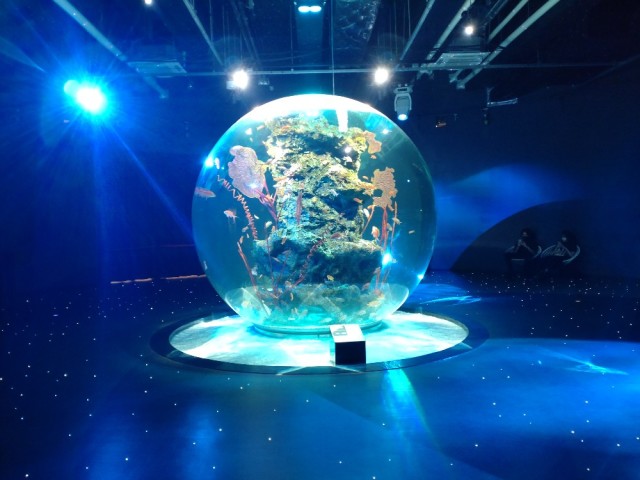 神戸 新感覚の都市型水族館アトアへ_1_4