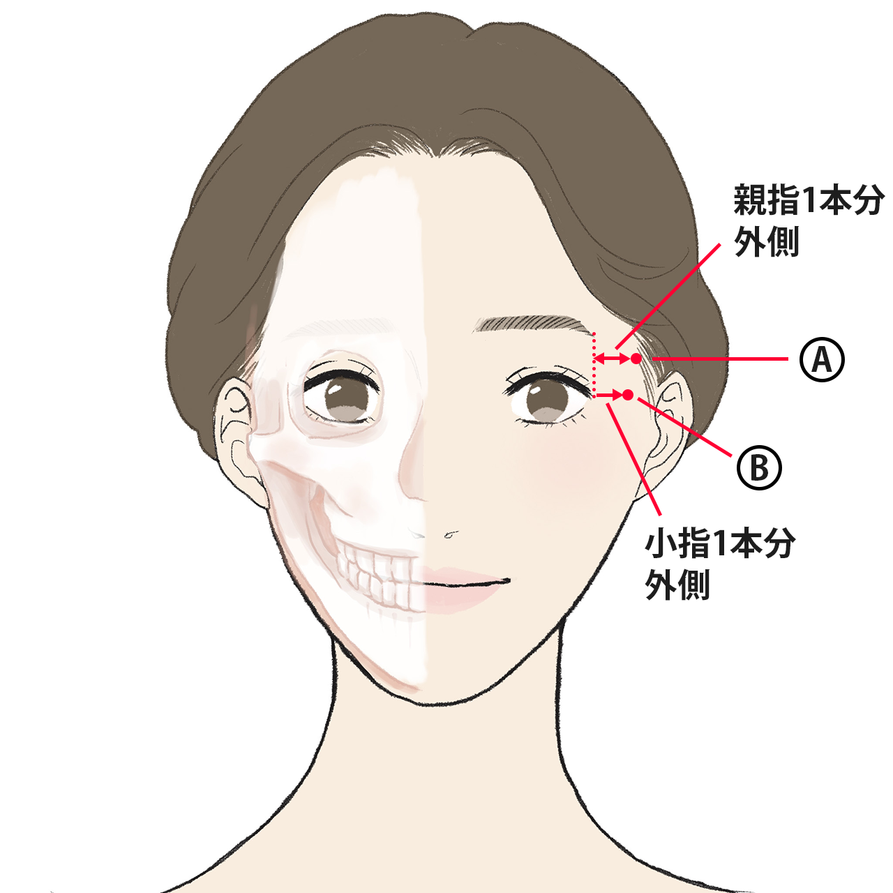 「顔のツボ押し」でアラフォーのほうれい線、目もとのシワ、クマetc. 気になるお悩みを解決!【40代 ヘルスケア】_1_7