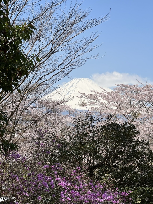 御殿場 富士山 時之栖