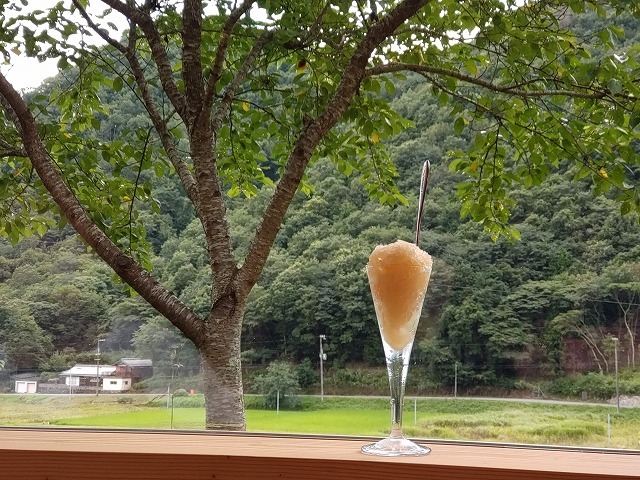 大人の夏休み② おにぎり食べませんか?_1_8