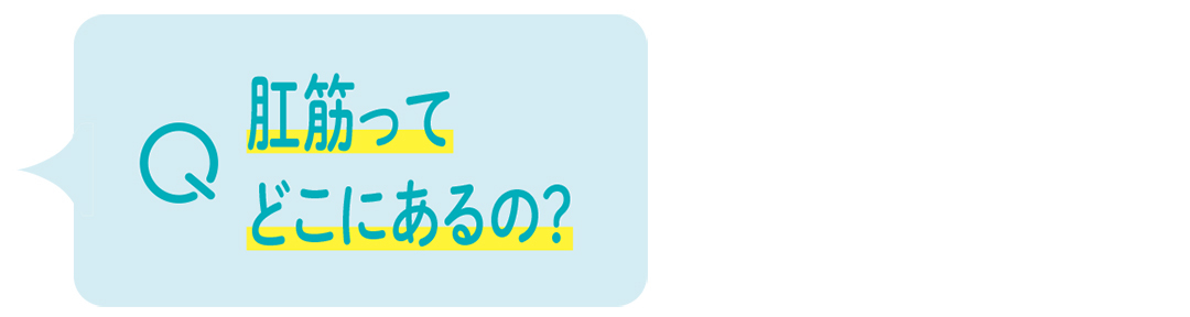 1日24秒! 冷え、便秘、下半身やせ…一気に解決の「肛筋エクササイズ」って?_1_2