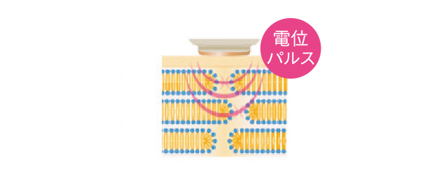 プレケアの電位パルス