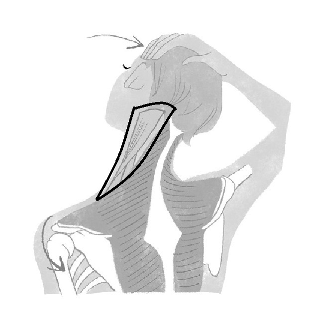 現代病“ストレートネック”を防ぐには? 老けない姿勢のつくり方⑧【From MyAge/OurAge】_1_3