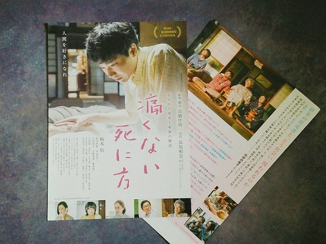 痛くない死に方 チラシ