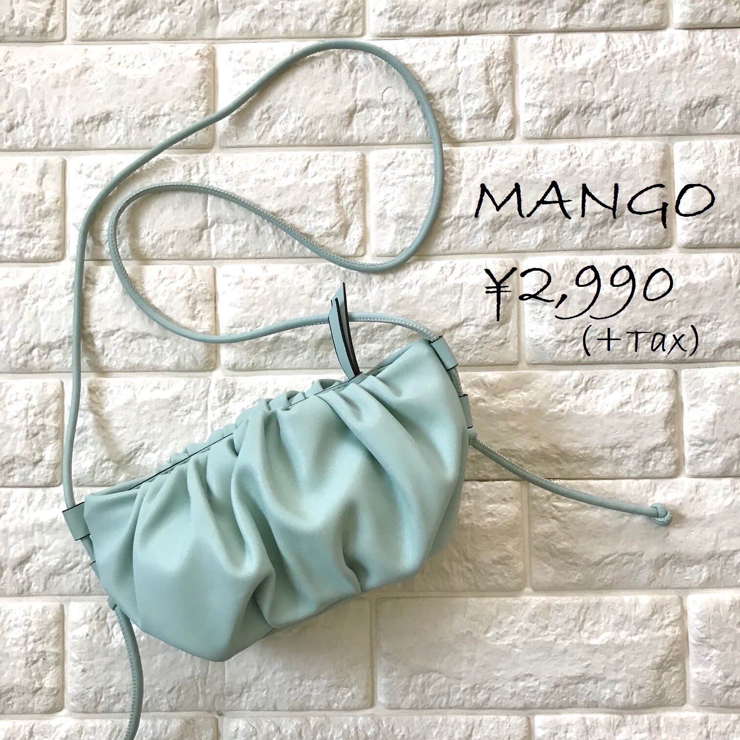 マンゴーのバッグ