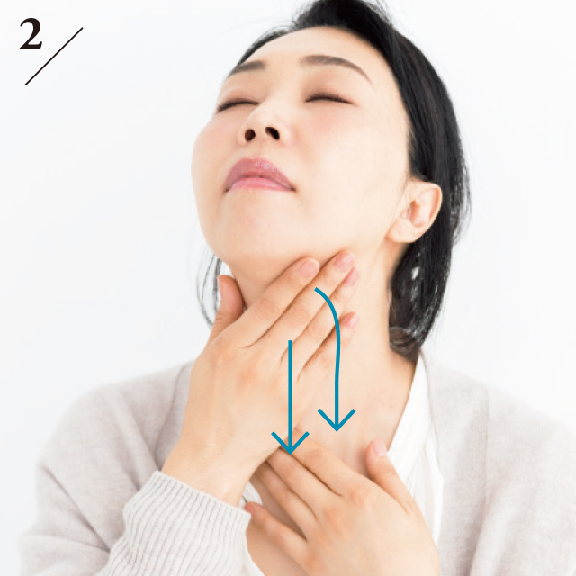 首を上げ、指全体を使ってあご先から首の真ん中を通って上から下へ流す