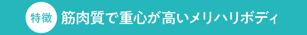 特徴 筋肉質で重心が高い メリハリボディ