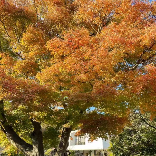 『いざ鎌倉へ!』東京から小一時間で旅行気分♩_1_3