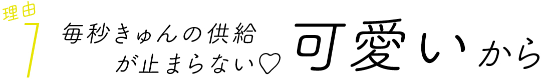 理由1 毎秒きゅんの供給が止まらない♡ 可愛いから