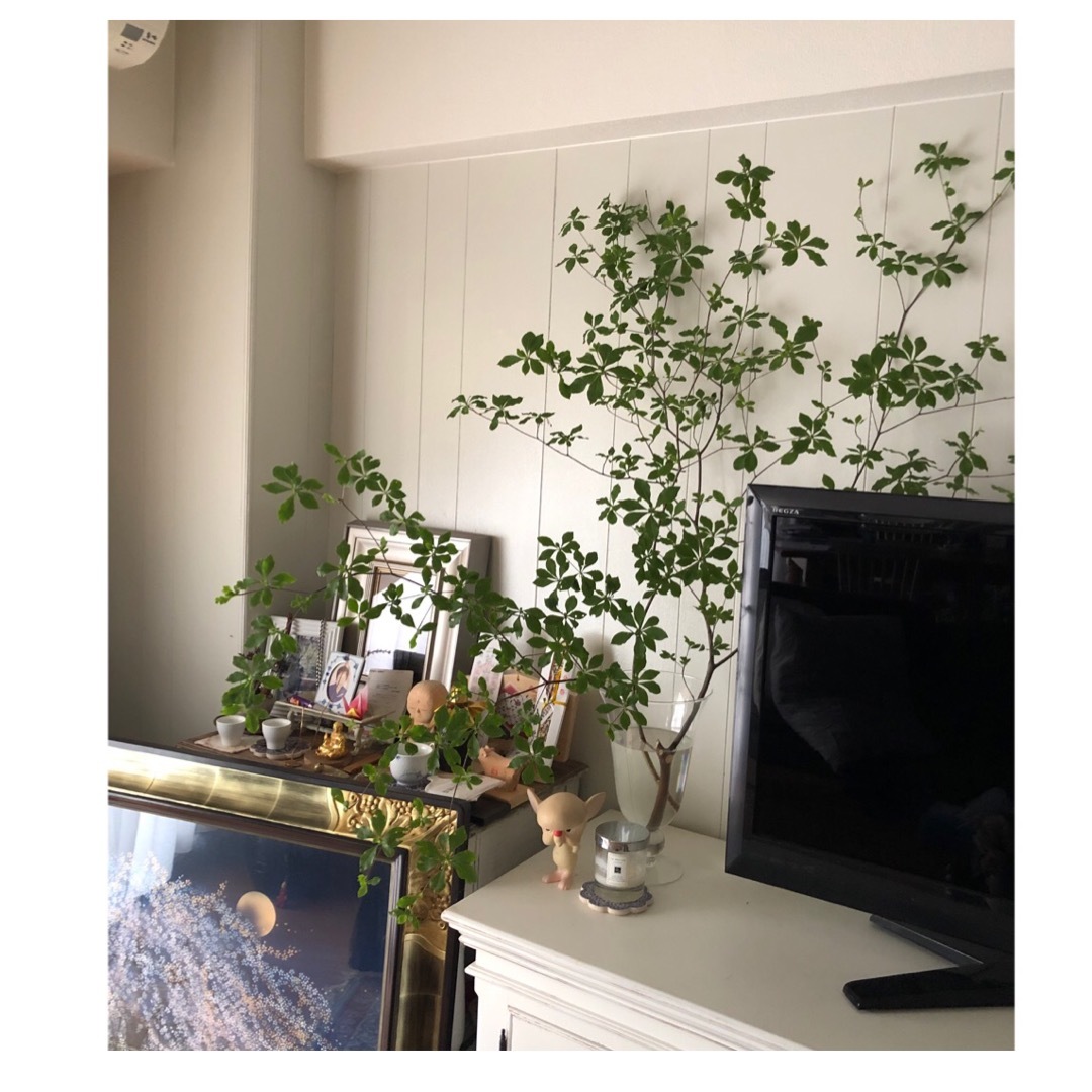 今月のお花_1_2