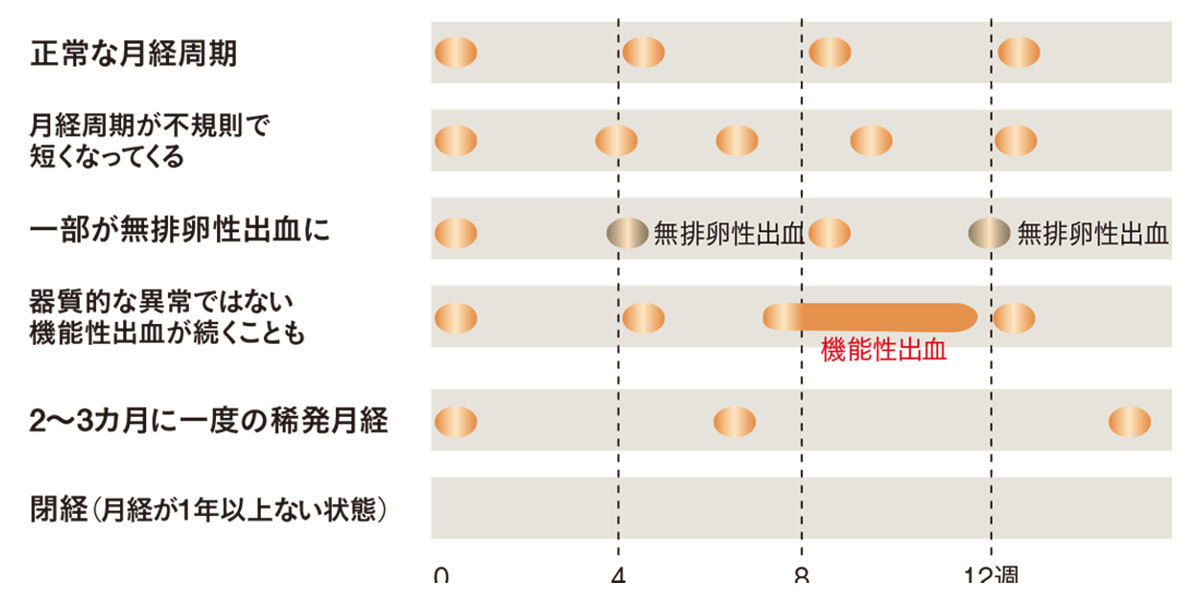 アラフォーのための生理の基礎知識4_2
