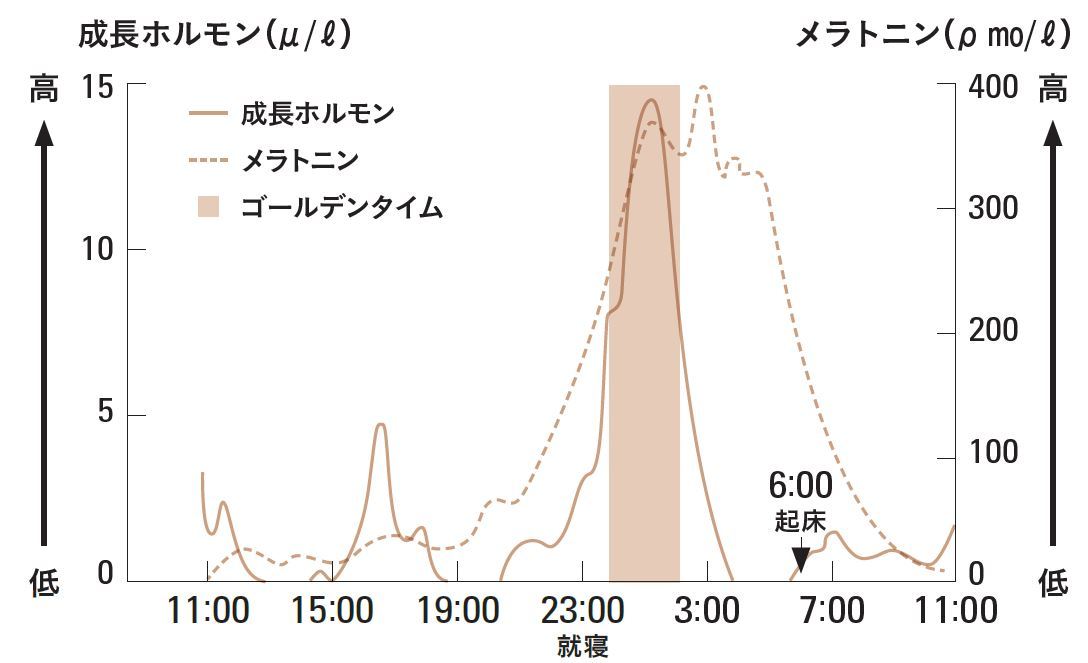 疲れを癒す成長ホルモンを逃さない生活リズムに