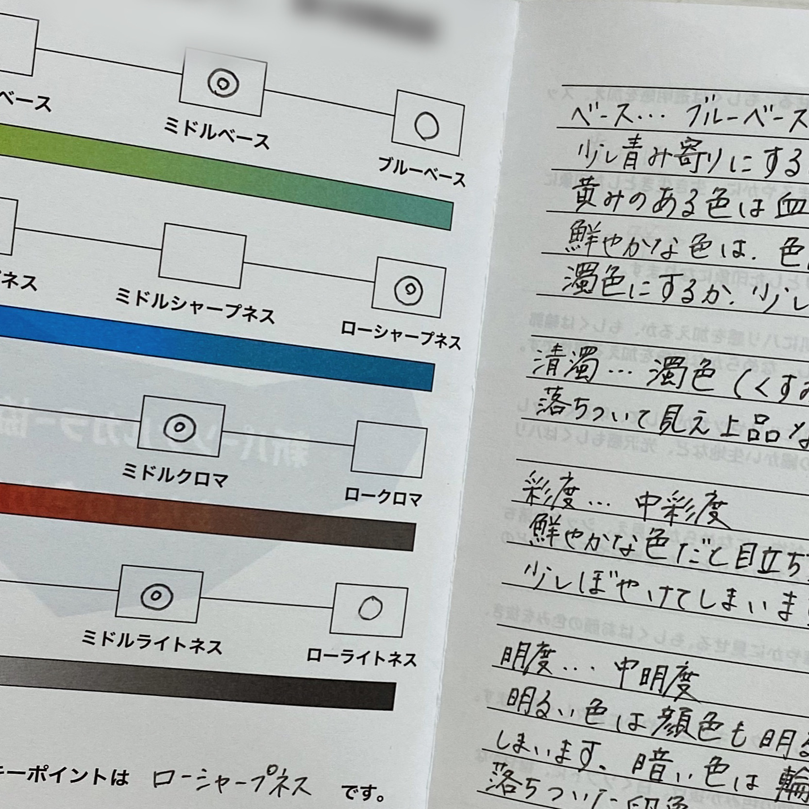 5月に受けたパーソナルカラー診断の結果です!