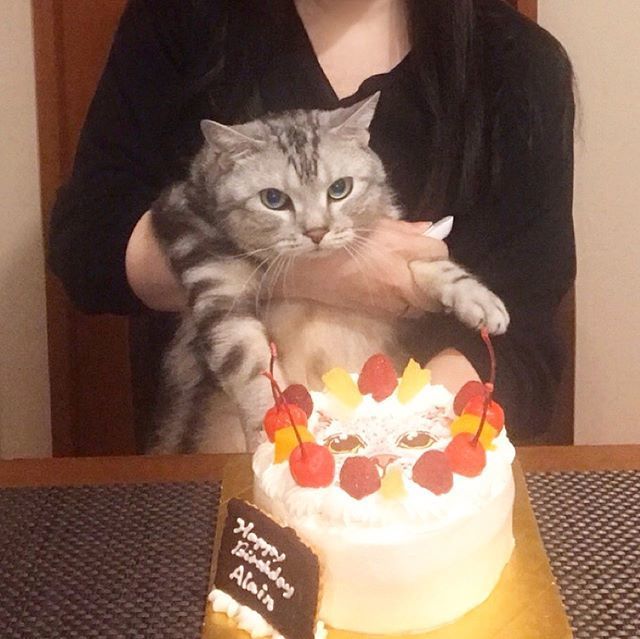 アラン、6歳になりました!