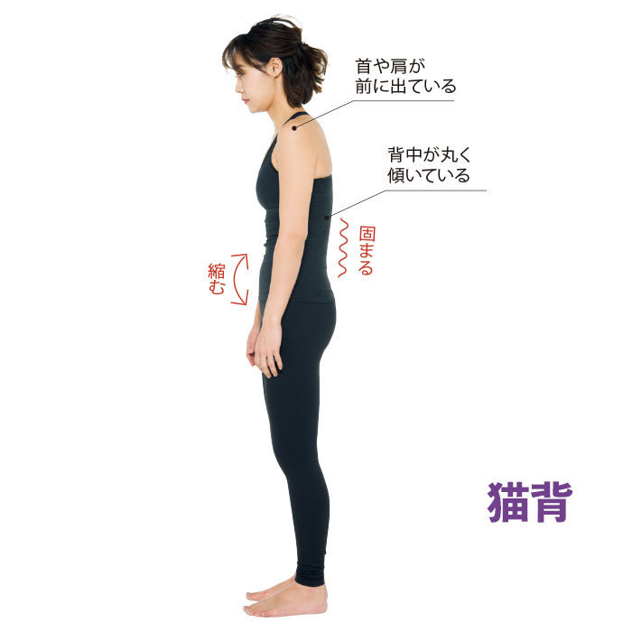 40代のためのダイエット特集 | 簡単なストレッチや膣締めポーズで腹肉・腰肉にさようなら!_1_2
