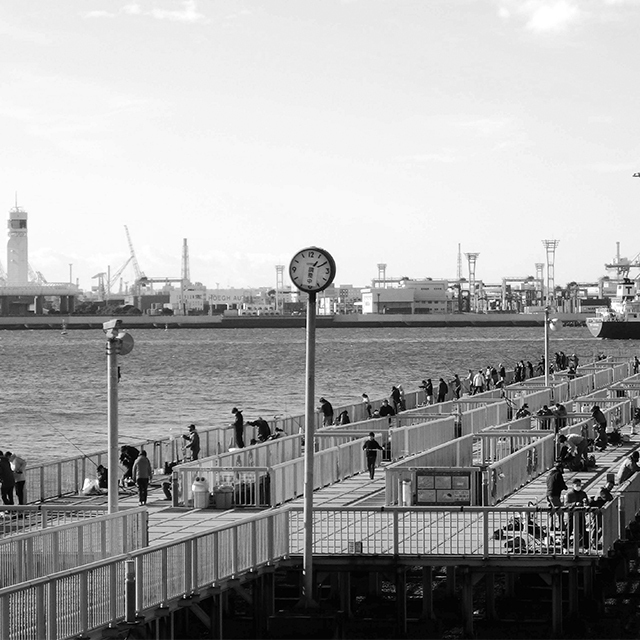 海釣り公園で気軽にフィッシング