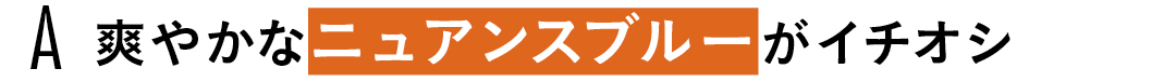 A 爽やかな ニュアンスブルー がイチオシ
