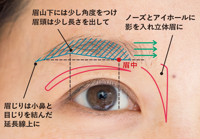 眉山下の角度と眉の長さが知的な