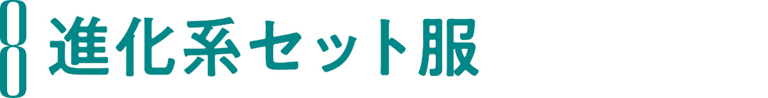 6 進化系 セット服