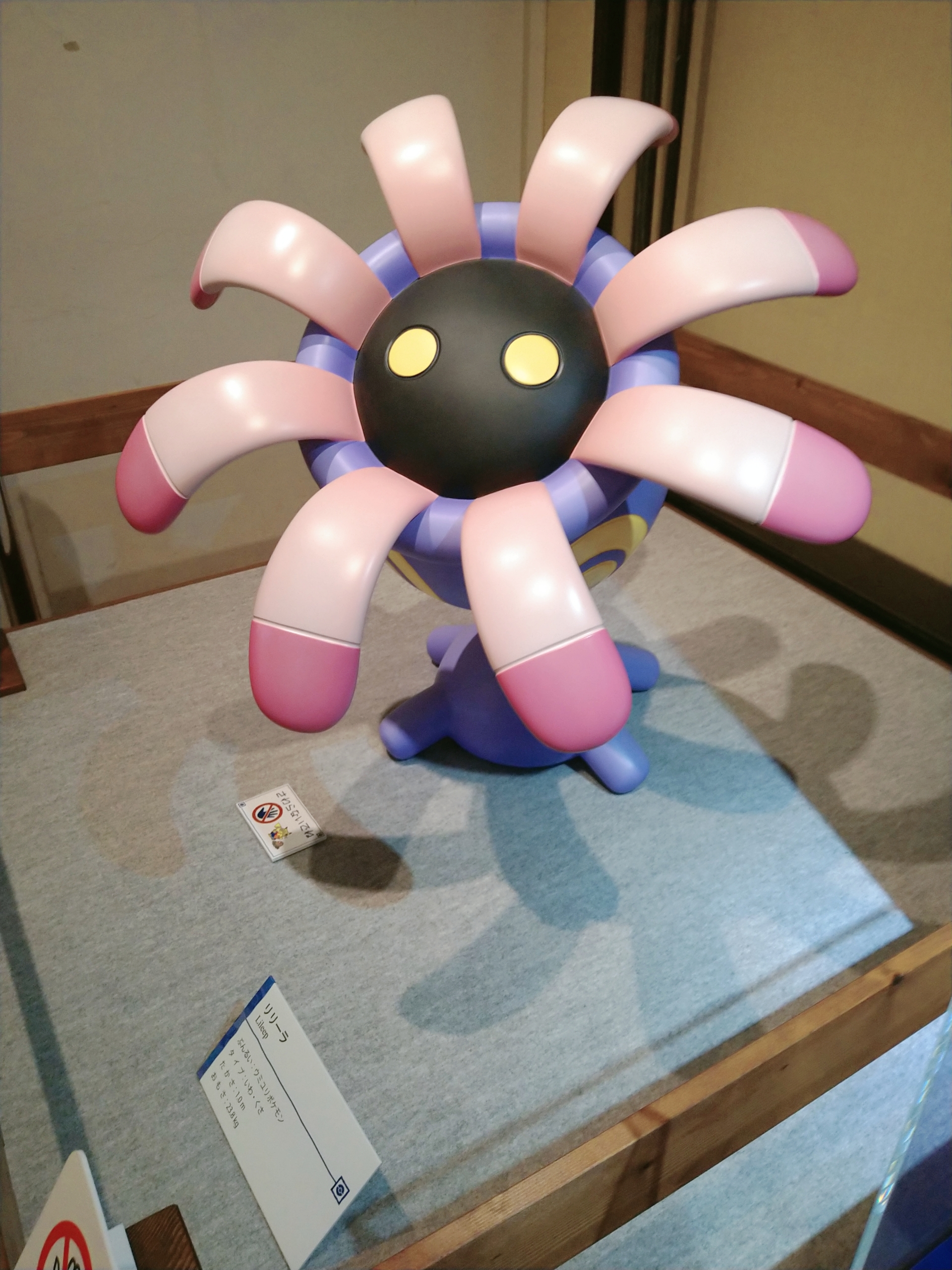 インドアの散歩日和 ポケモン化石展 Non No Web ファッション 美容 モデル情報を毎日お届け