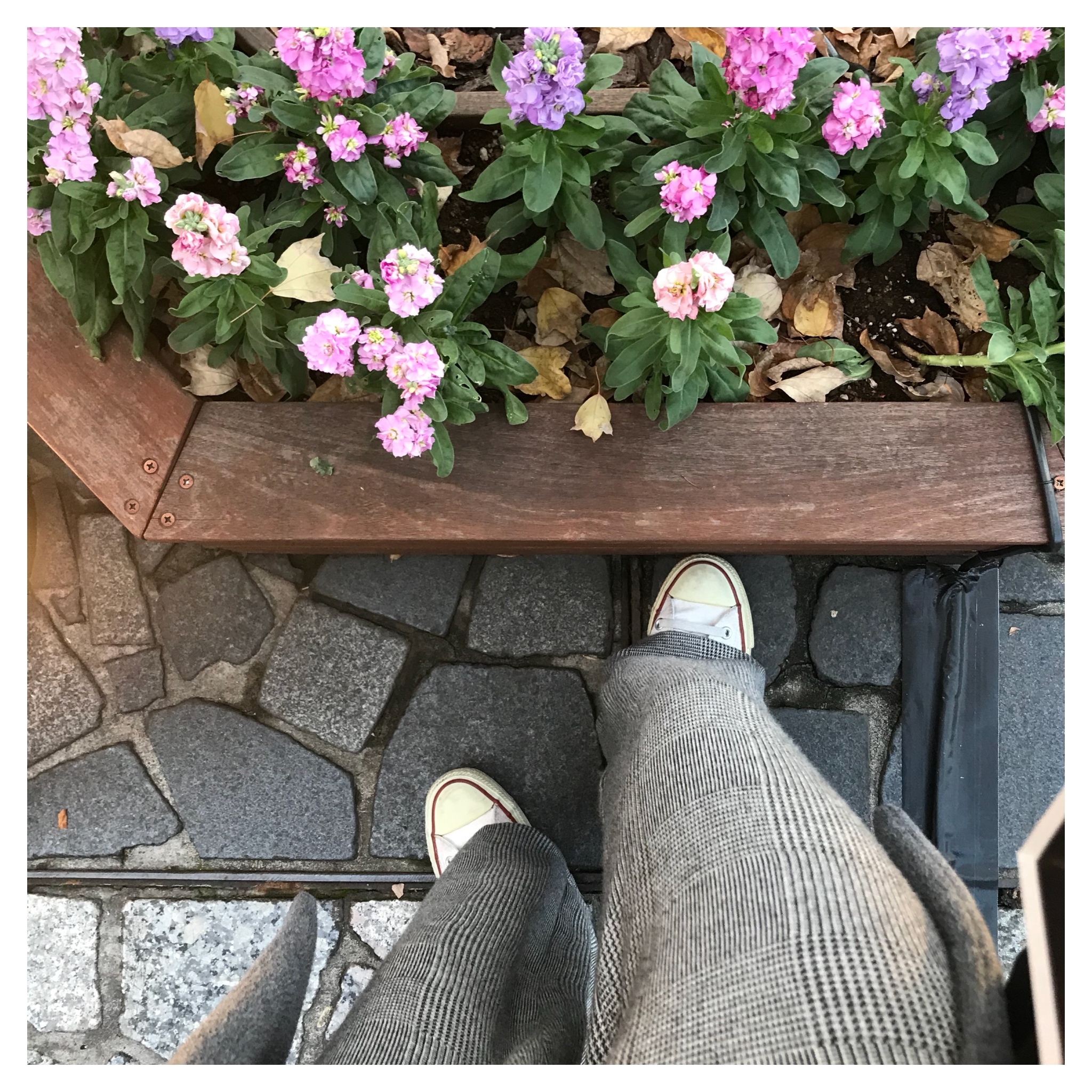 ZARAのグレンチェックパンツコーデ_1_4