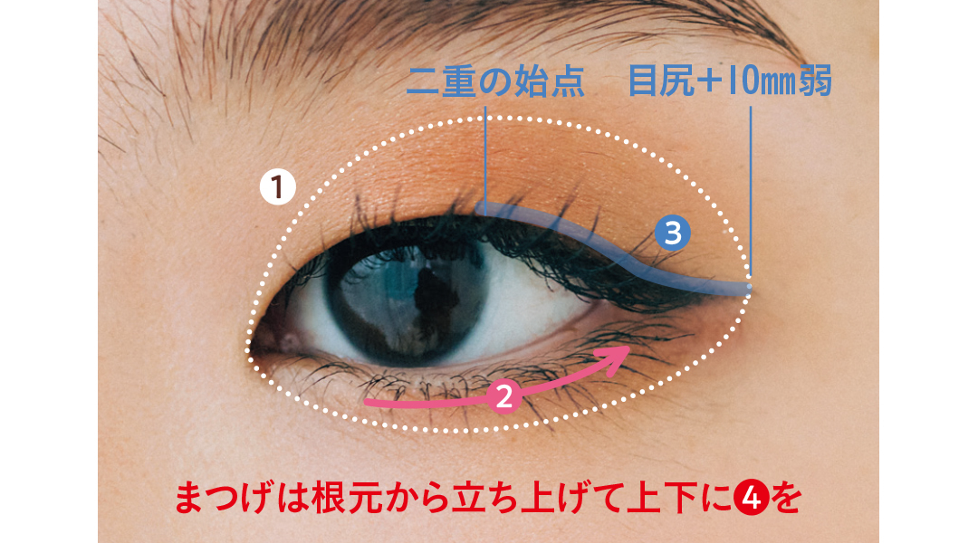 二重の視点 目尻+10mm弱 まつげは根本から立ち上げて上下に④を