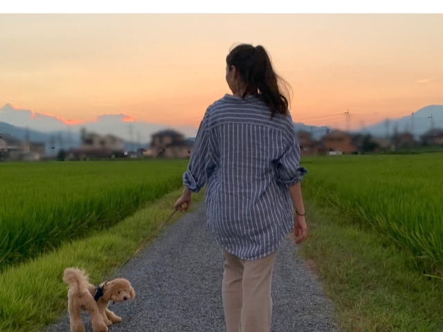 今の時期の夕方の風、心地良くて好き。