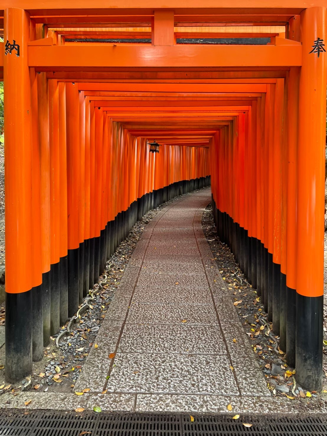 千本鳥居