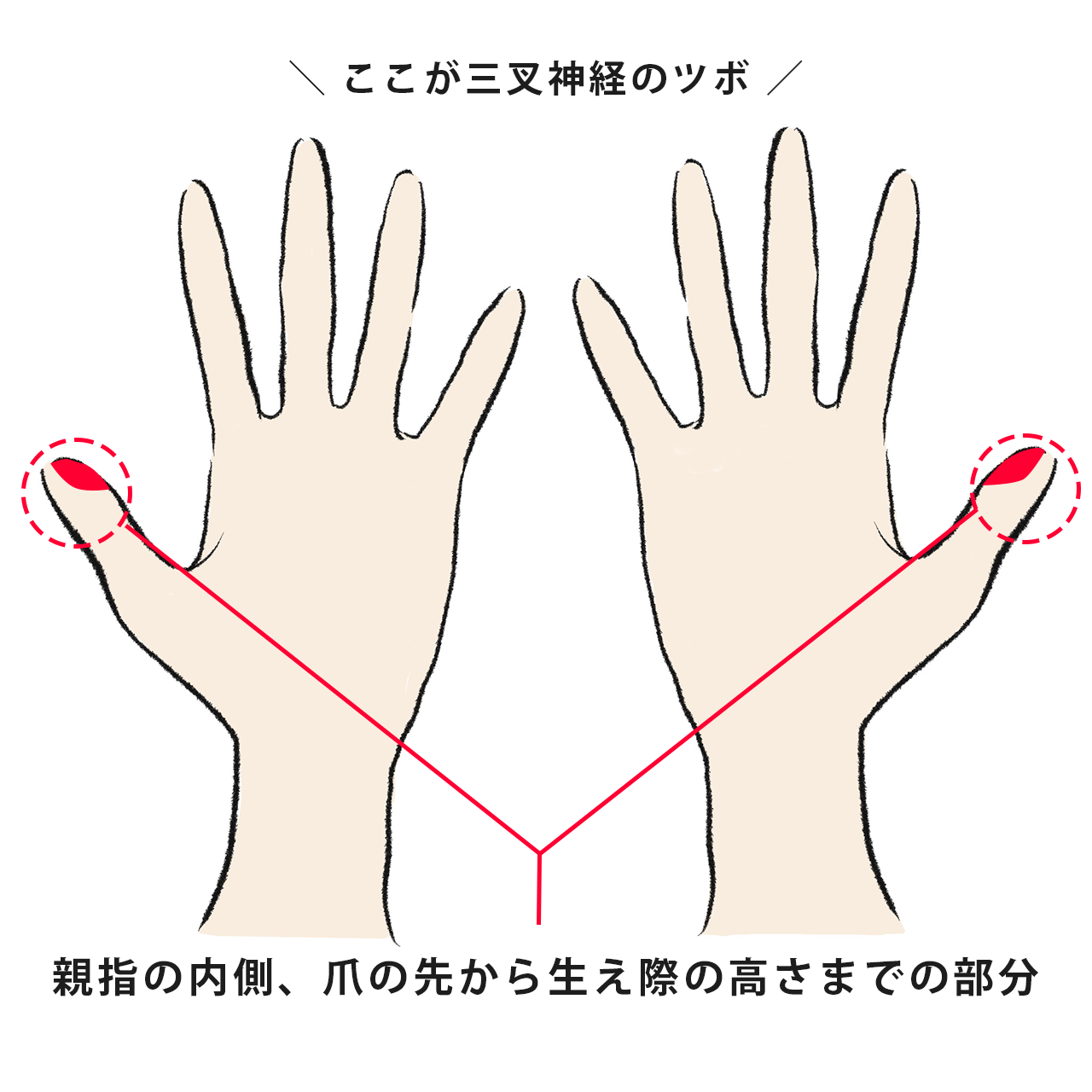 せき・頭痛・腹痛 etc. 外出先でもすぐに押せる「手のツボ」で不調とサヨナラ!【40代 ヘルスケア】_1_4
