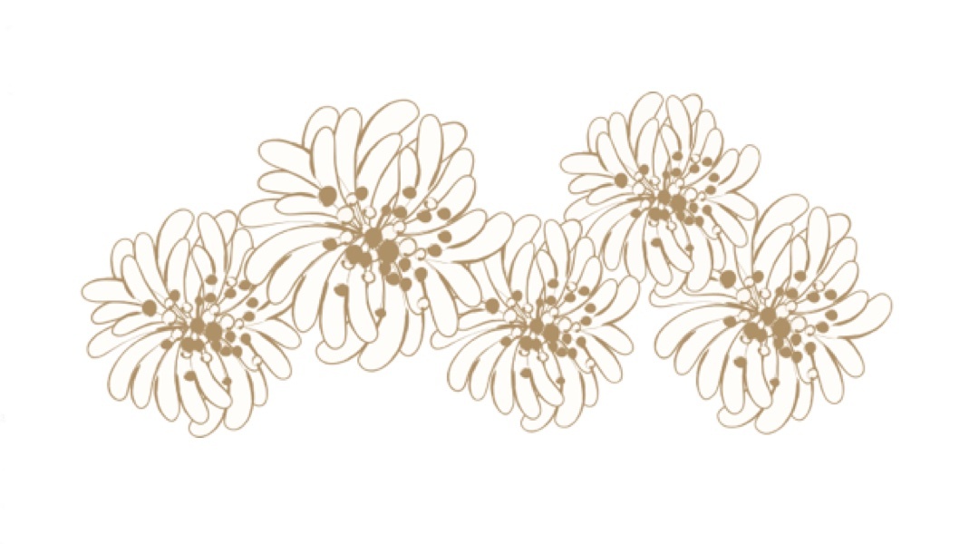 ポール ジョー ボーテの周年記念コスメが可愛すぎ ブランドトリビアも Happy Plus ハピプラ