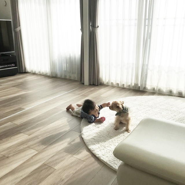 犬を飼うということ 40代 私の暮らし ファッション誌marisol マリソル Online 40代をもっとキレイに 女っぷり上々