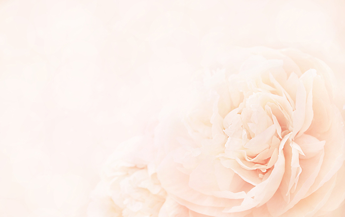 版権:Ulada/Shutterstock.com