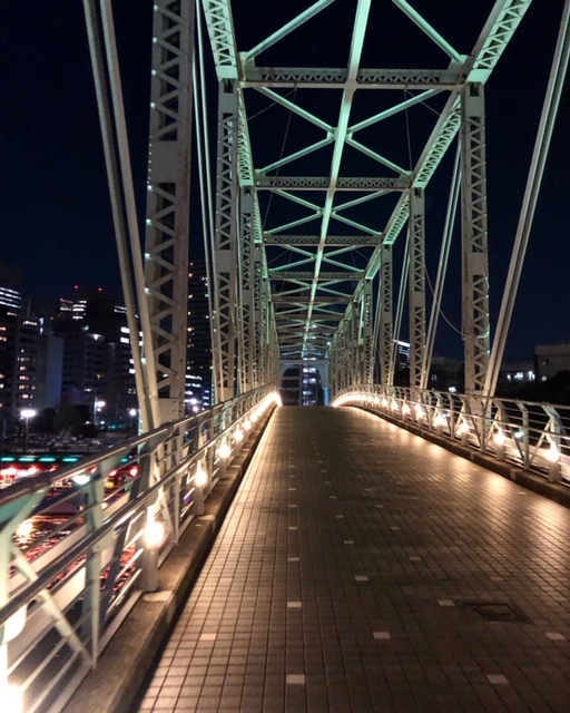 弾丸帰国 東京編_1_2