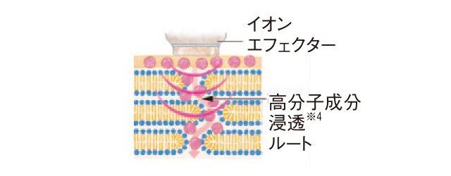 イオンエフェクターで高分子成分も浸透させる