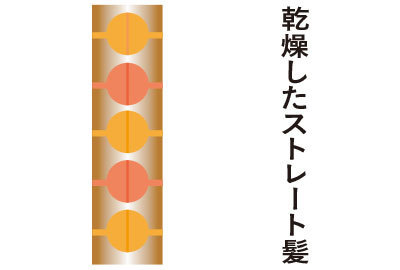 【あなたはどっちの髪質?】雨の日、アラフォーの髪がまとまらない理由とは? _1_5