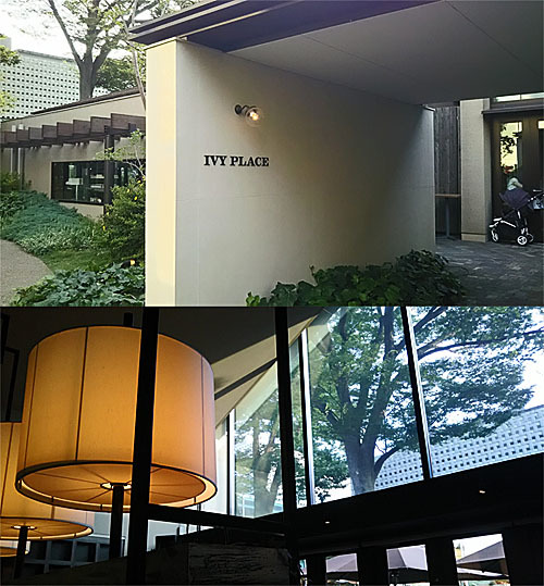 女子受け最高!代官山 IVY PLACE で素敵dinner _1_1