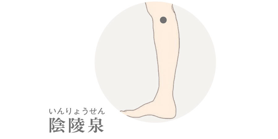 痰湿体質_4