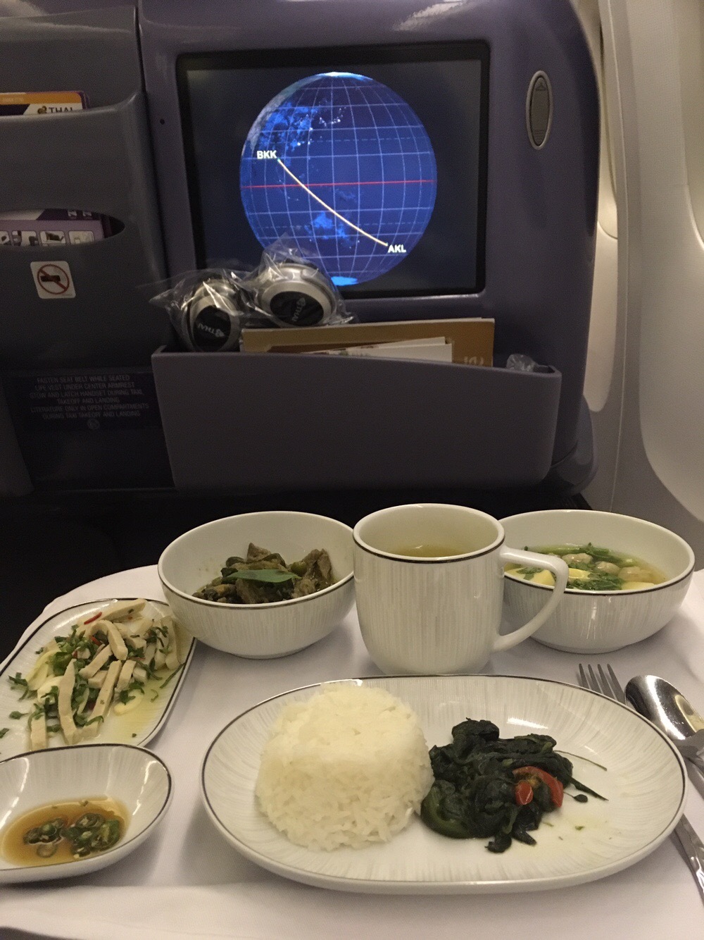 暑い夏の東京を脱出 !NZへ行ってきました(機内編) _1_1