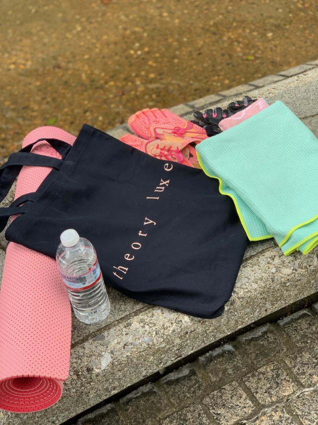 Marisol10月号特別付録 theory luxeとのコラボ、メガサブトートバッグ_1_2