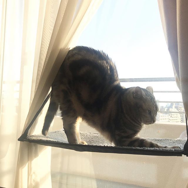アランの健康法は?_1_2