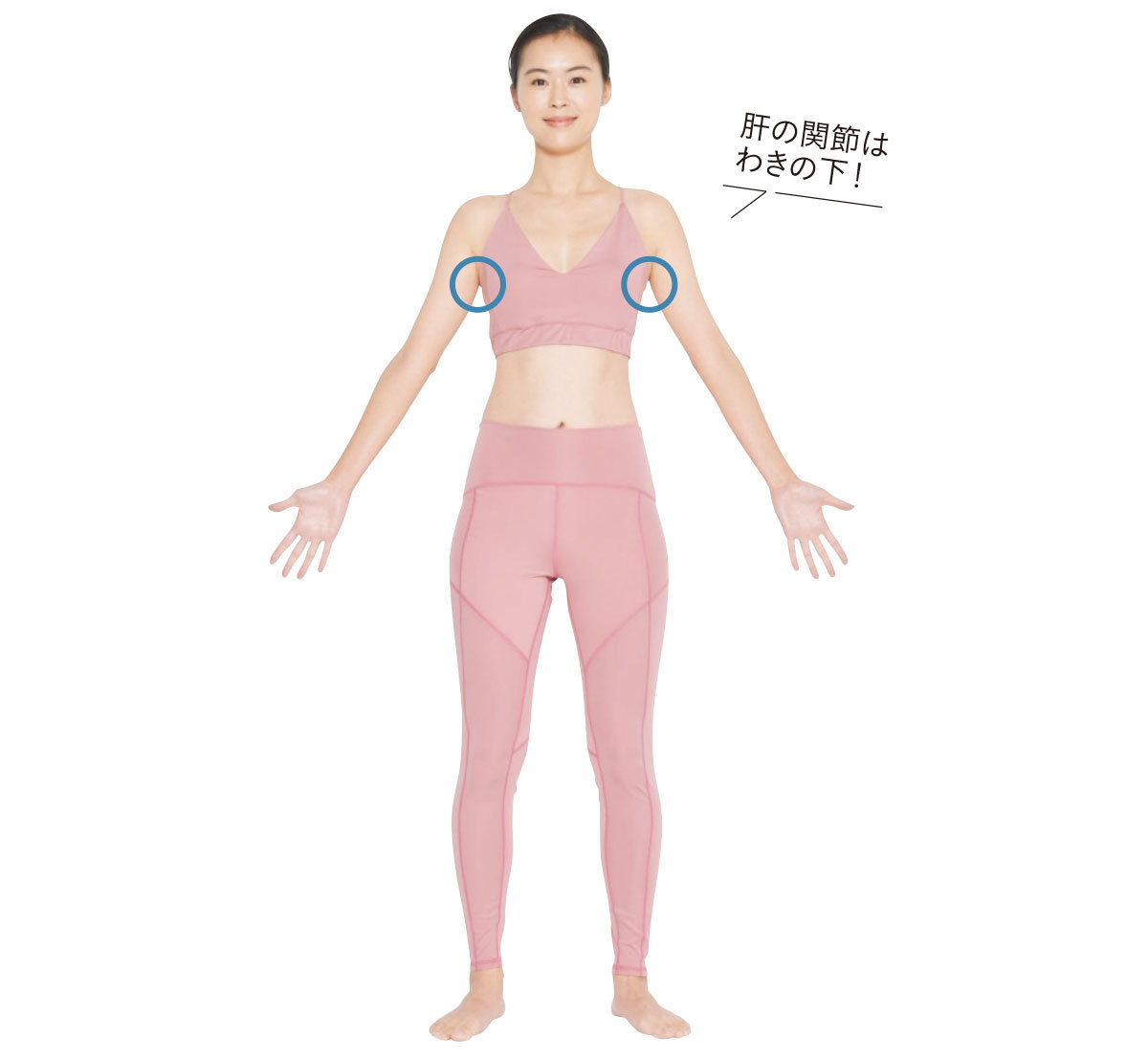 「肝」が弱っているあなたに_1
