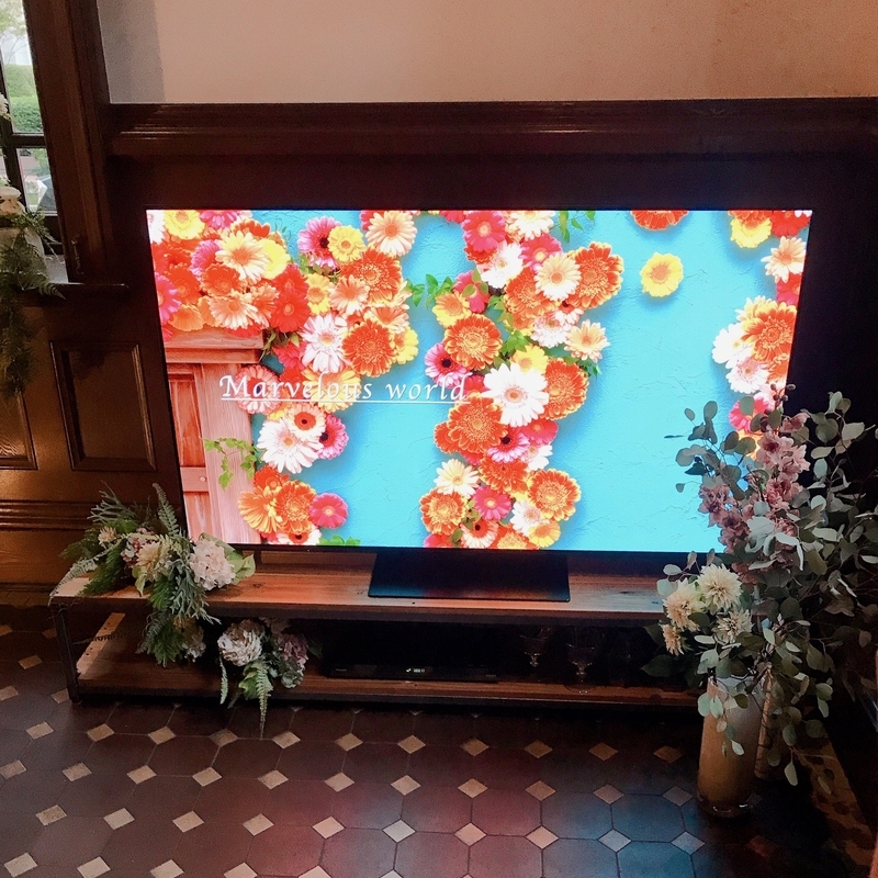 パナソニックの4Kテレビ_ビエラ