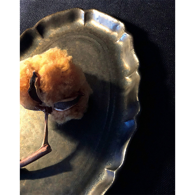 作家の息遣いが感じられる味わい深い器にときめく!
