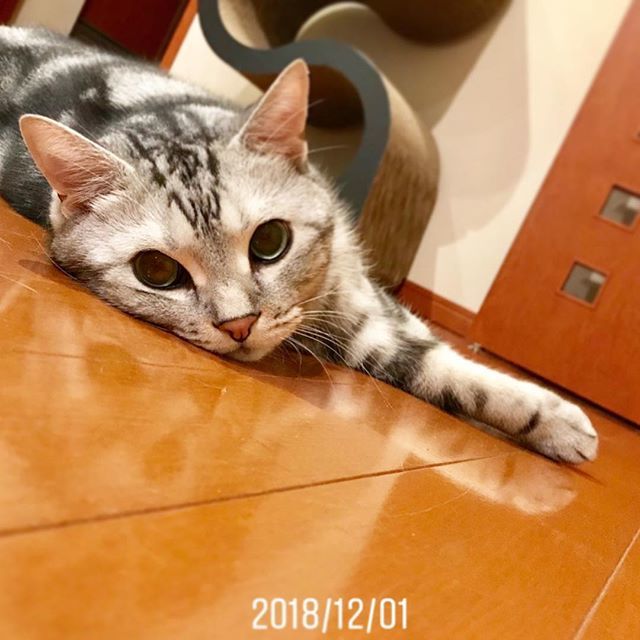 今年、去年、一昨年_1_1