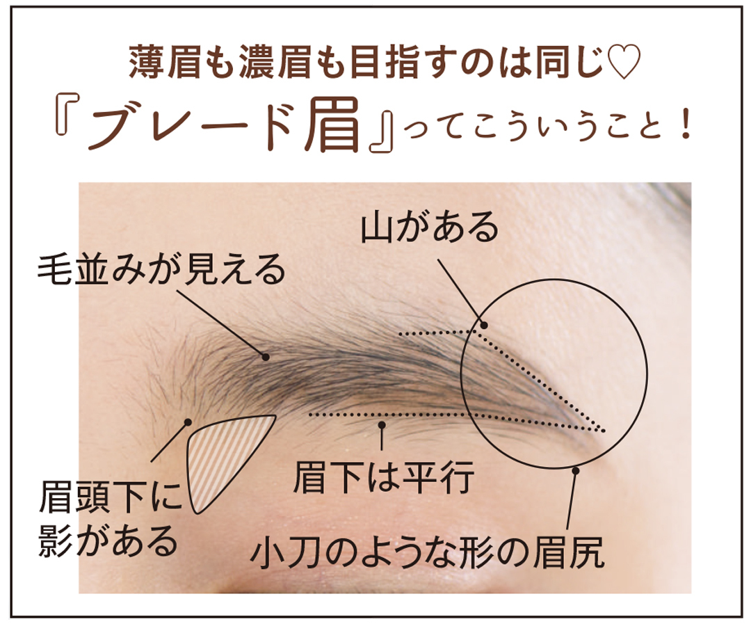 ブレード眉とは? こういう眉のこと。