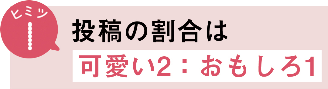 ヒミツ1 投稿の割合は可愛い2:おもしろ1