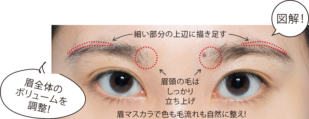 細眉さんも眉メイクでここまで変わる★超ていねい図解解説つき! _1_3