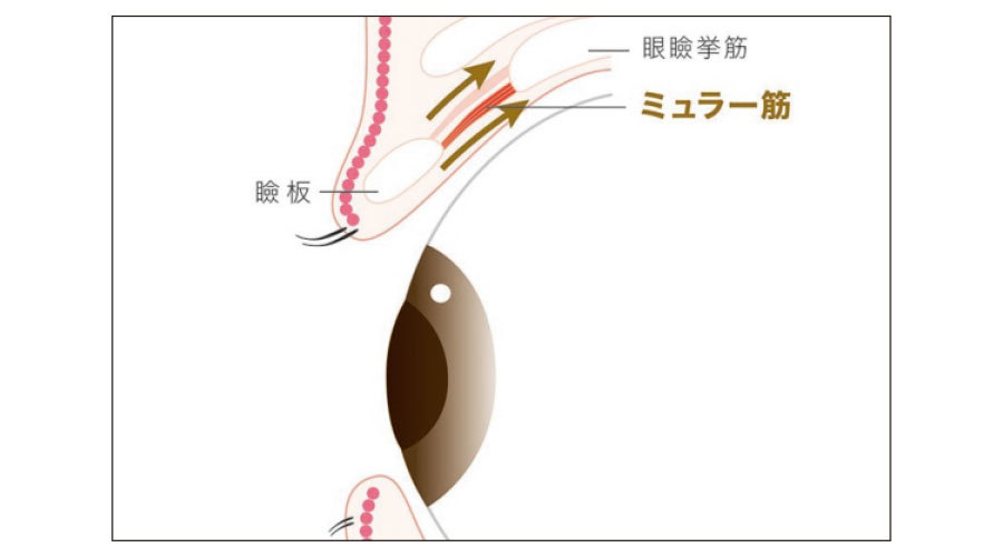 アラフォーの目の下_3