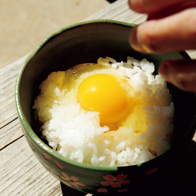 土佐ジローの卵かけごはん